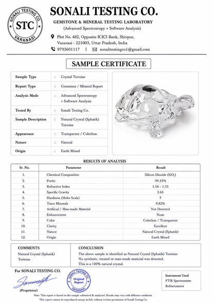 Sphatik Crystal Tortoise Turtle for Vastu Home Decor Meditation Prosperity Spiritual Gift Blessings